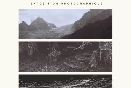 3 photographies présentées l’une dessous l’autre et représentant des mises en scène du sauvage dans les Alpes.