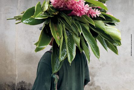 Affiche du FIFDH 2025 : une personne portant un grand bouquet de feuilles et de fleurs roses sur la tête, avec le titre du festival et les dates (7-16 mars) affichés en jaune.