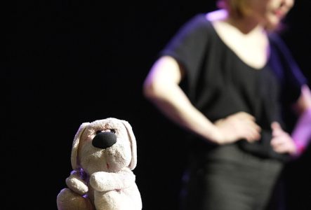 photo de toutou, le doudou, petit chien en peluche regardant de façon attendrissante sur une table