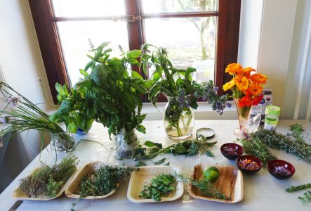 Présenté sur une table dans des assiettes et vases, un grand choix de plantes comestibles