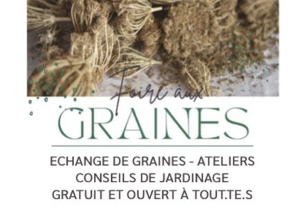 Fleurs séché et graines, information sur l'événement (5 avril 2025 de 14h à 17h - Bibliothèque de Saint Jean)