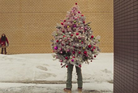 Deux enfants sont intrigués par une personne cachée dans un sapin de noël.