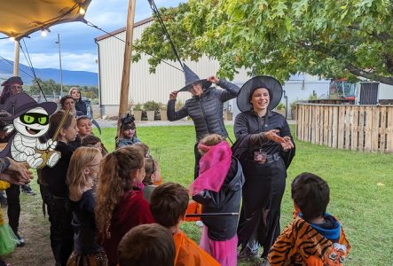 Léman Expériences Chasse aux bonbons dans les vignes à Genève