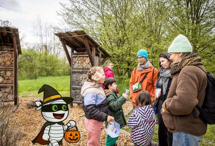 Léman Expériences Chasse aux bonbons au Parc des Evaux