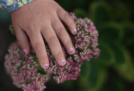 Petite main d'enfant qui touche une fleur