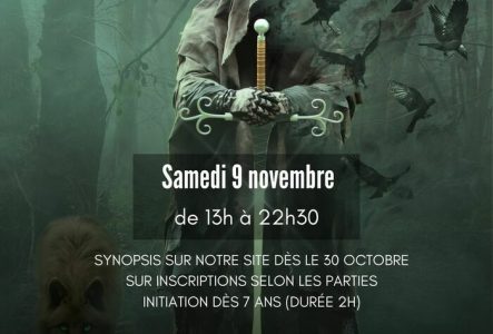 Personne dans le brouillard, sous cape, tenant une épée, entourée de corbeaux et d'un loup. Flyer annonçant du jeu de rôle à la ludothèque du Petit-Saconnex.