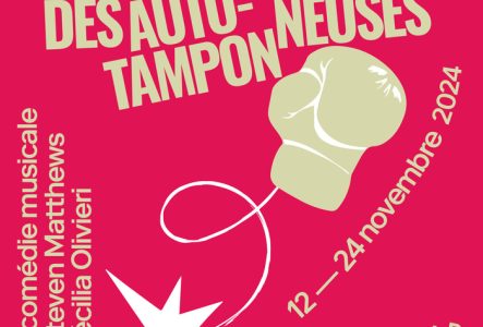 Visuel "La Gènance des auto-tamponneuses"