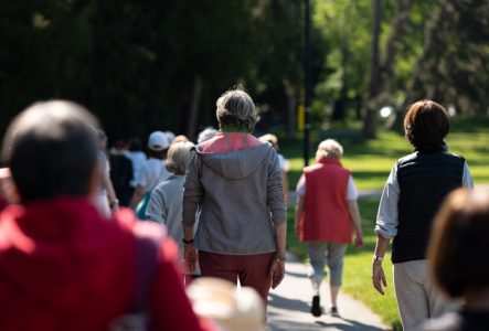 Des seniors vus de dos se baladent dans un parc.