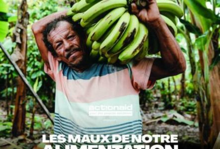 Un homme qui porte des bananes vertes