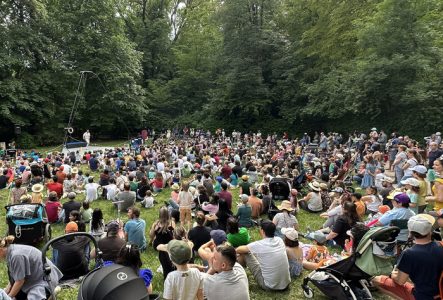 Du monde assis dans l'herbe