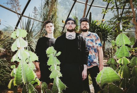 3 personnes sous une serre entre les cactus