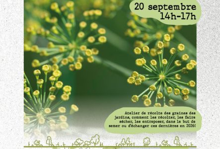 Jardins de la Jonction Une photo de fleurs est sur l'affiche qui présente les informations pratique