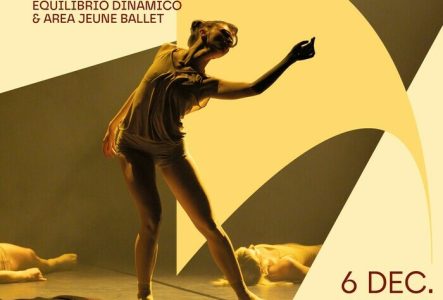 Affiche du spectacle, une danseuse au milieu avec autour les informations concernant le spectacle.