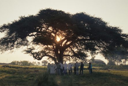 Un groupe de personnes rassemblées sous un grand arbre au coucher du soleil, symbolisant la communauté, la tradition et la connexion avec la nature.