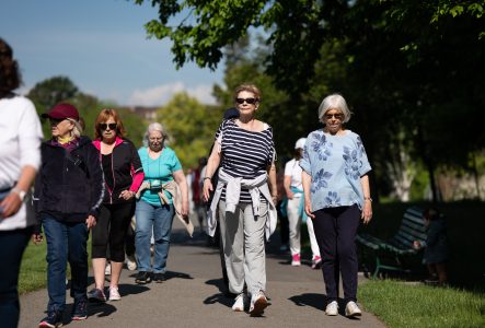 Un groupe de six dames quinquagénaires se promenent dans un parc.