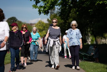 Un groupe de six dames quinquagénaires se promène dans un parc.