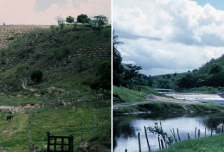 Municipalité de Quebrangulo au Brésil - Photographies avant l'action de reforestation en 1994 et après en 2012