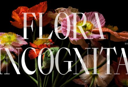 Un bouquet de fleurs très colorées sur fond noir avec les dates de l'exposition Flora Incognita du 26 septembre au 21 décembre.