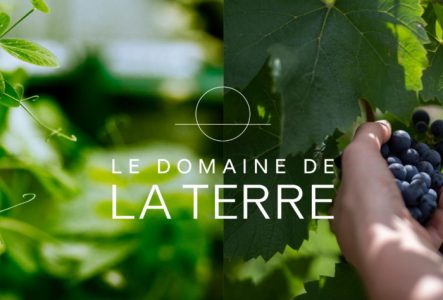 domaine de la terre